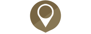 Location Pin Icon